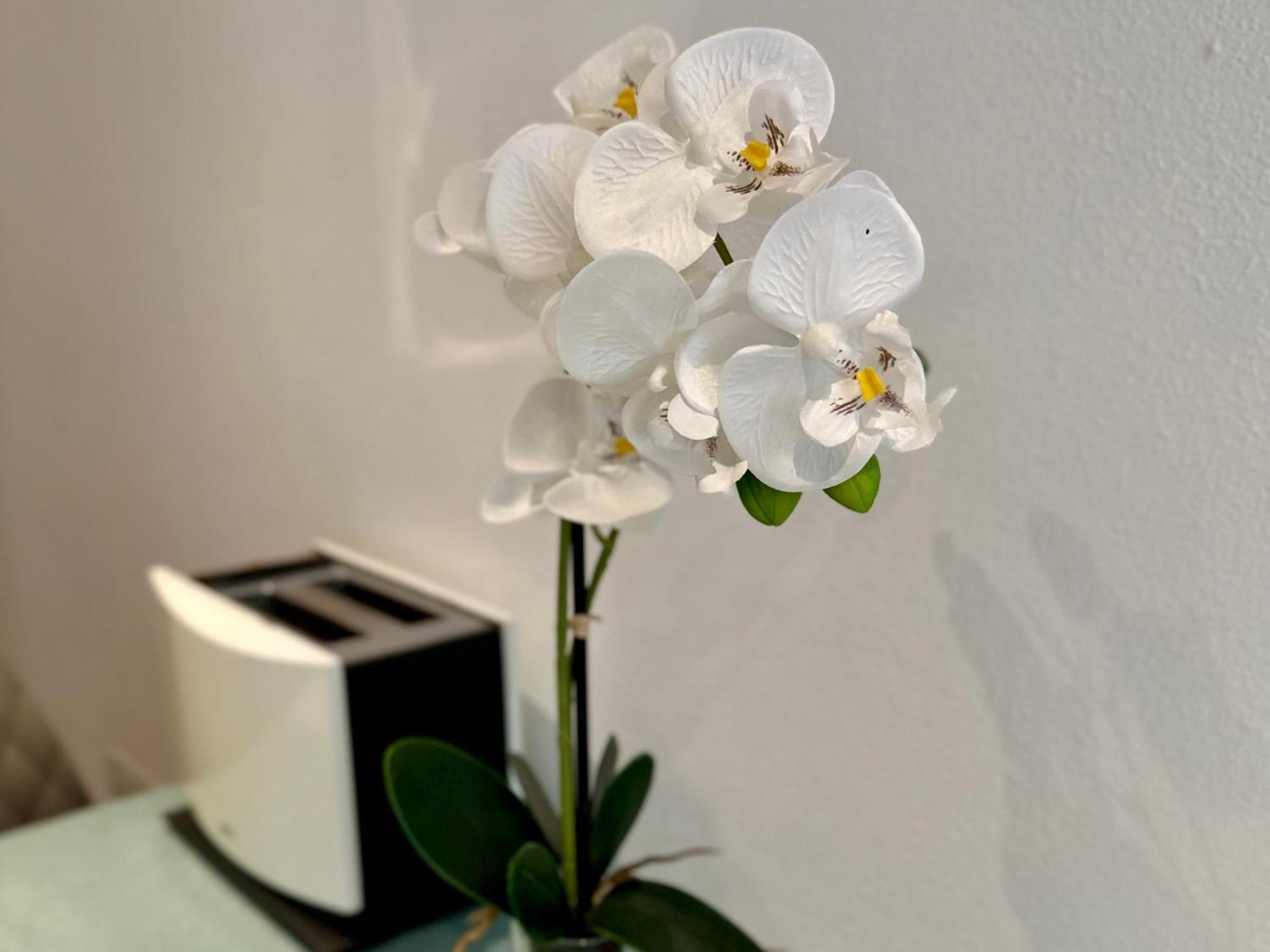 Apartment Beefree Cozy Mini Loft35 I Free Parking I Bus Stop Passau